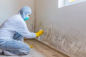 Why You Should Choose Our Mold Remediation Services in Granite Falls, WA