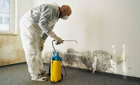 Granite Falls, WA Mold Removal Company