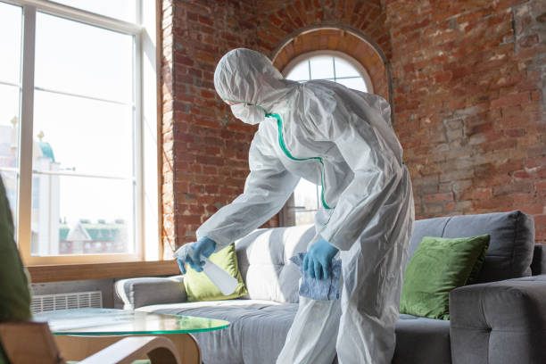 Best Asbestos and Lead Testing During Mold Inspection in Granite Falls, WA